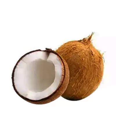 Narikel (Coconut)01